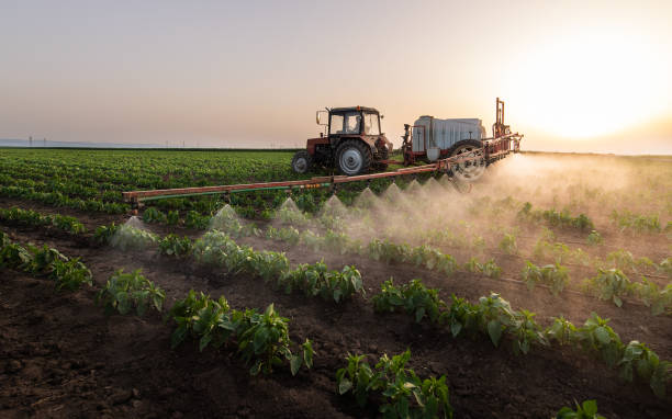 Reliable Orwigsburg, PA Pest Control Solutions