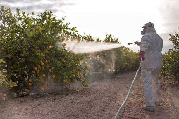 Best Affordable Pest Control Services  in Orwigsburg, PA