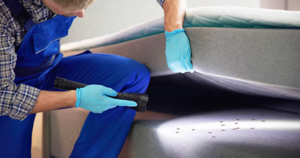 Best Residential Pest Control  in Orwigsburg, PA