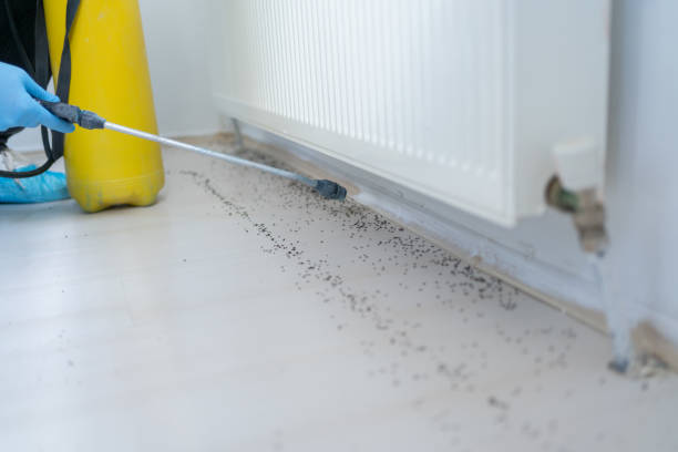 Best Local Pest Control Services  in Orwigsburg, PA