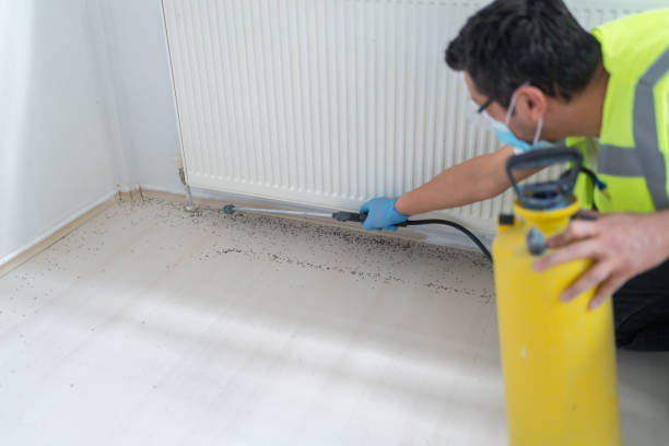 Best Pest Control Near Me  in Orwigsburg, PA