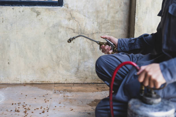 Best Emergency Pest Control  in Orwigsburg, PA